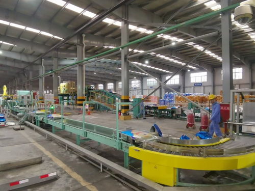 一線調研 四川美豐產品線滿負荷運轉，加速構建六大產業協同發展新格局