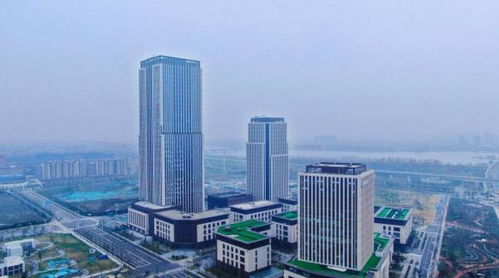 揚(yáng)州生態(tài)科技新城三項(xiàng)目入選省重點(diǎn)清單，以軟件驅(qū)動(dòng)“兩業(yè)融合”新篇章